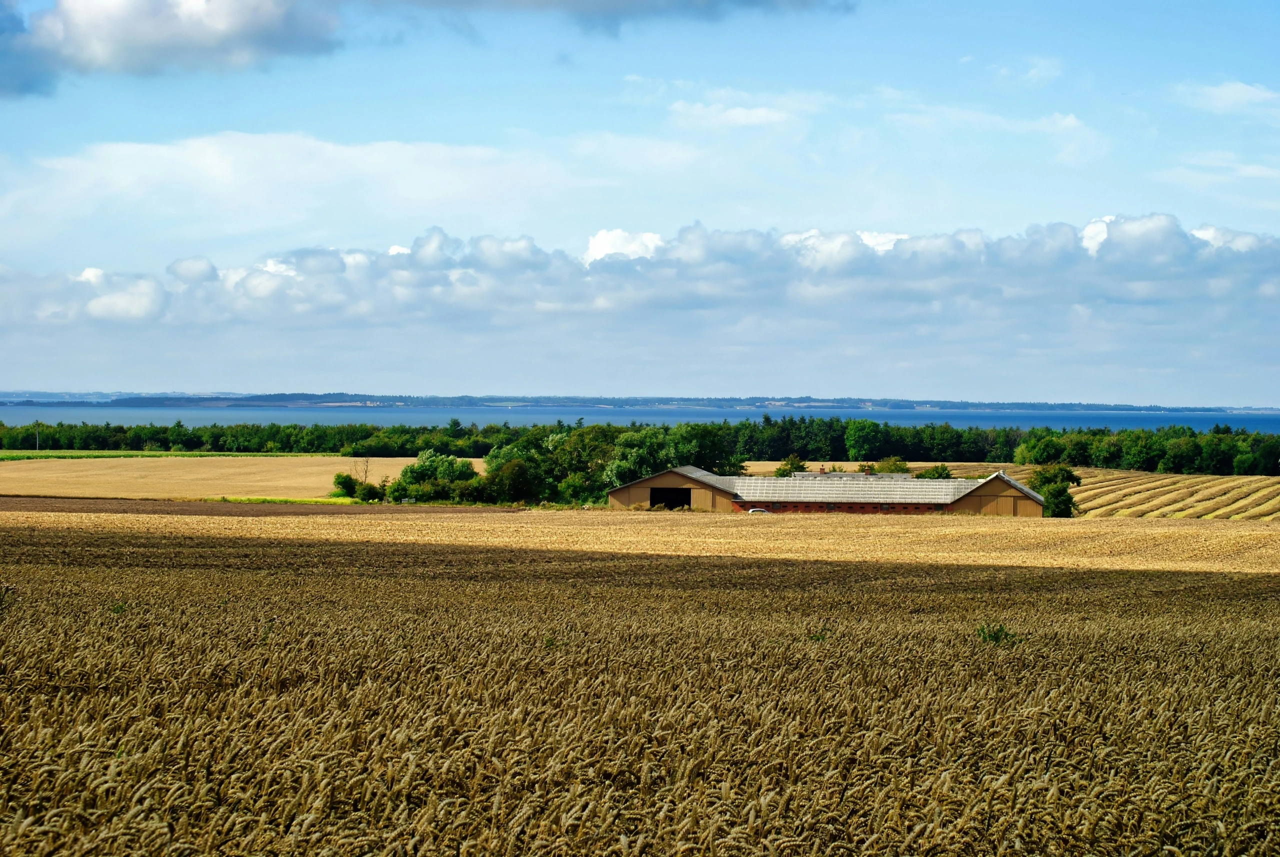 OXY-FARMS-MANNEGUDA-LANDS